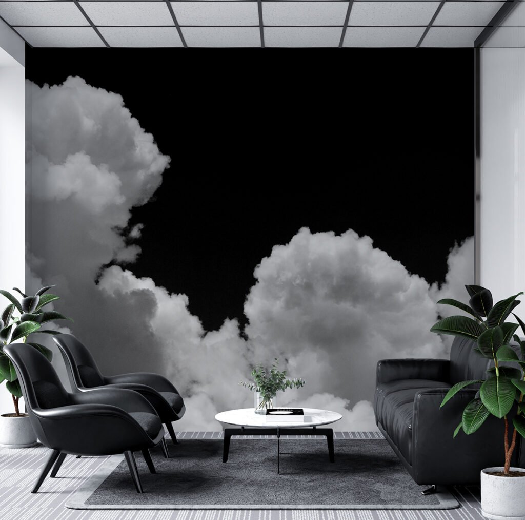 Black and White Cloud Wall Murals